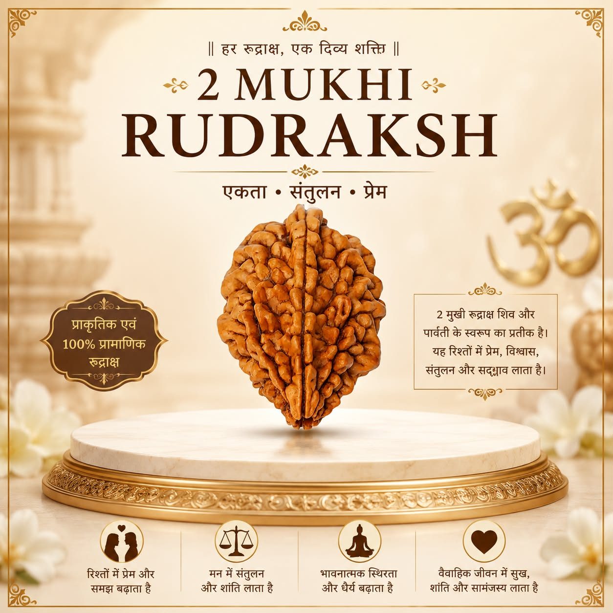 2 Mukhi Rudraksha ( Nepali )