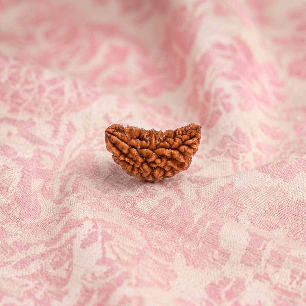 1 Mukhi Rudraksha ( Nepali )