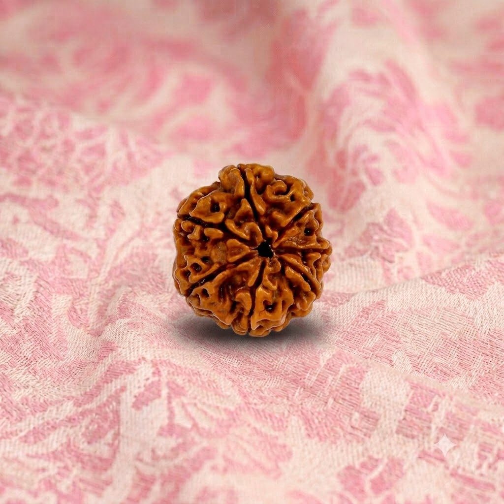7 Mukhi Rudraksha ( Nepali )